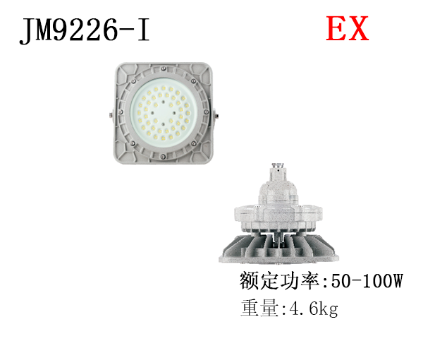 JM9226-I 维护LED防爆灯